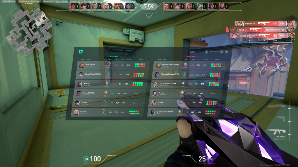 In-Game HUD Match Overview